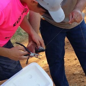 Meet your Posher, Hamza